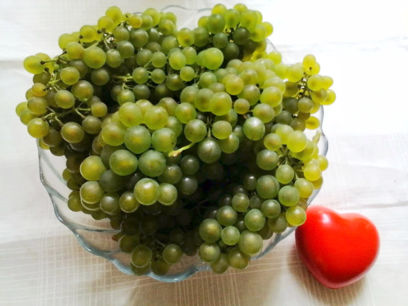 Сорта винограда для Республики Карелия названия, фото, описание