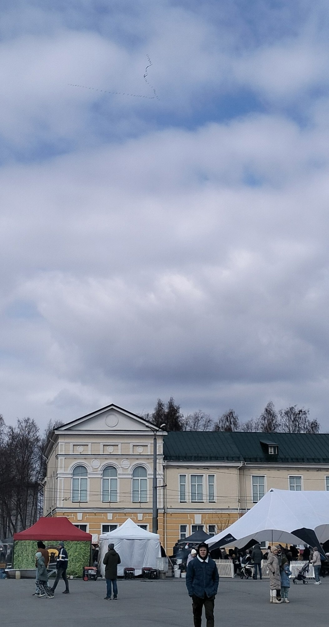 Жители Петрозаводска заметили журавлиный клин в небе в День Победы | Фактор  - новости Карелии