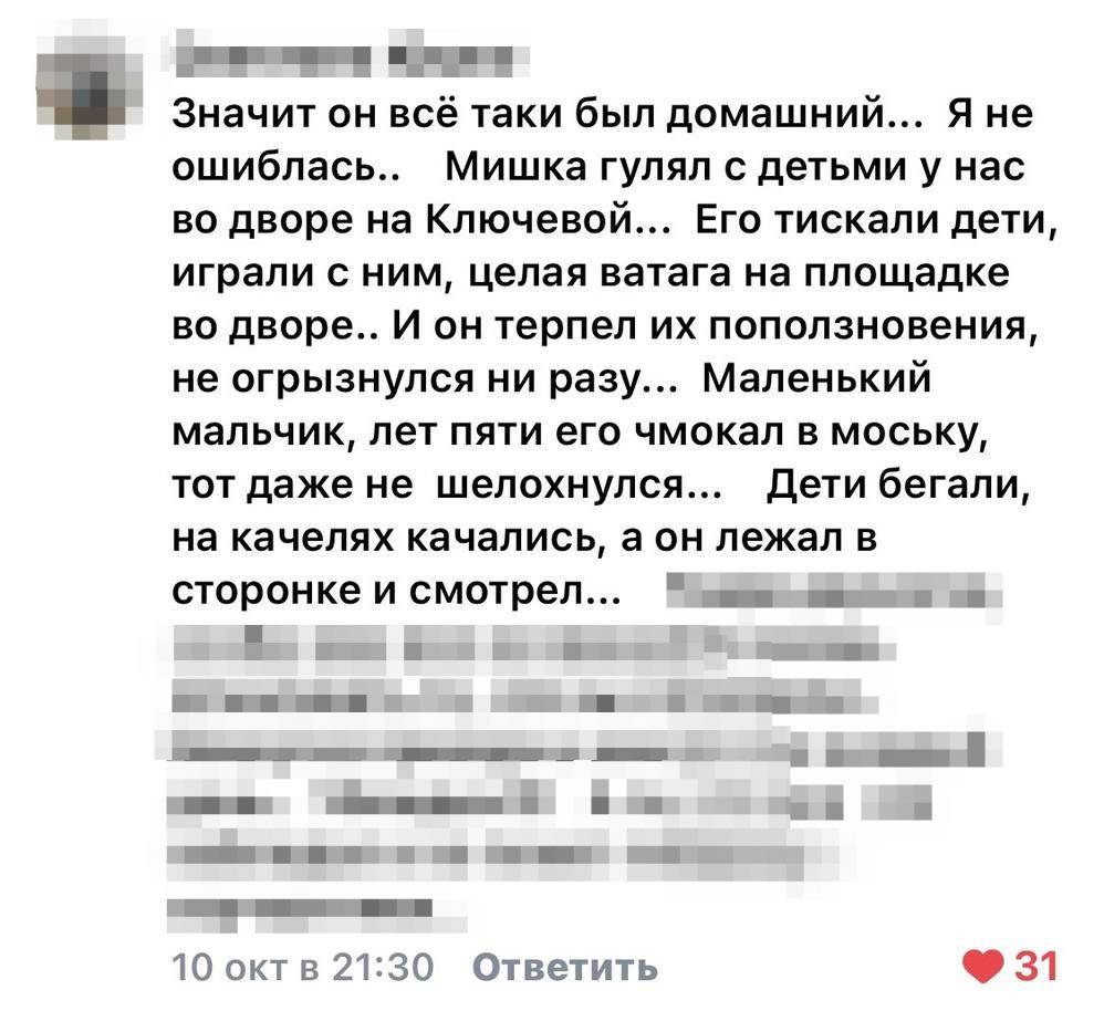 В Петрозаводске во дворе дома умертвили собаку, преступление без наказания?  | Фактор - новости Карелии