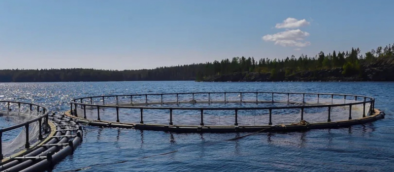 Людмила Журавлева