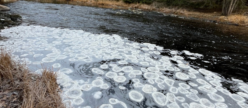 Фото: Подслушано в Олонце | Олонец | Олонецкий район / ВК