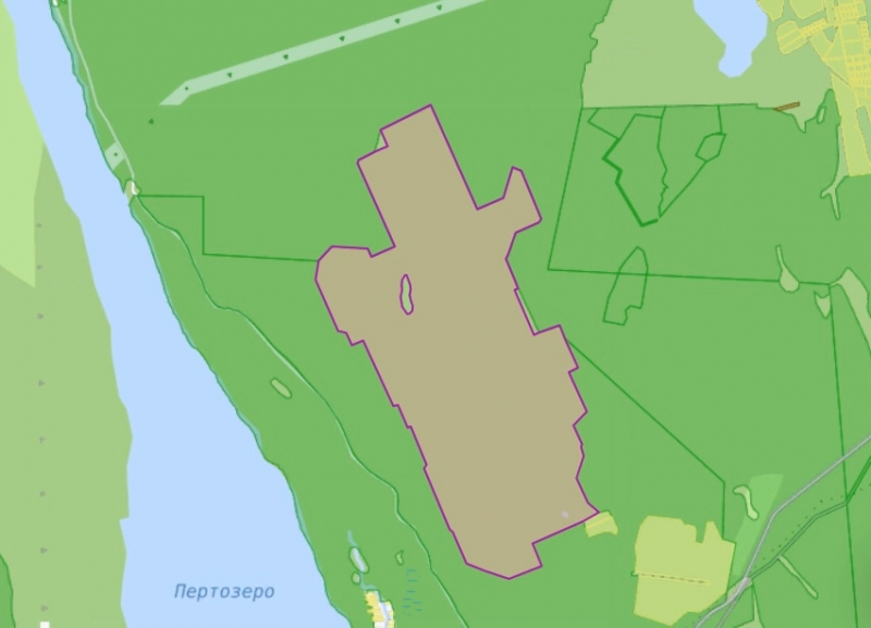 Фото: прокуратура Карелии